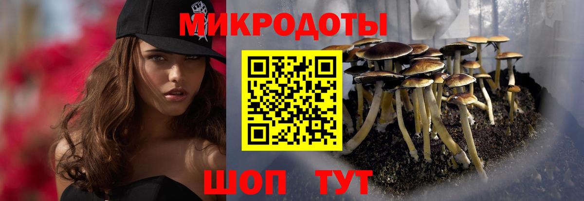 Галлюциногенные грибы прущие грибы Обь